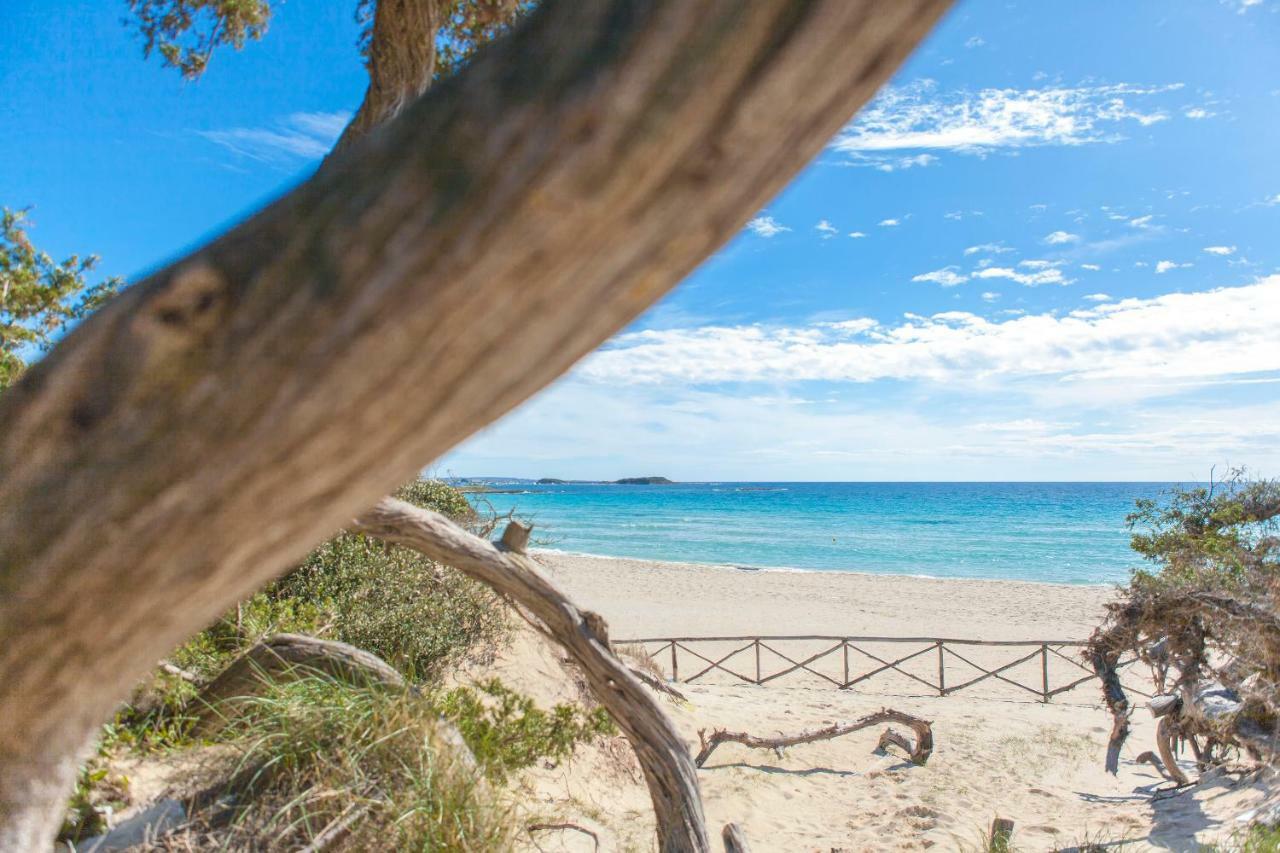 Sunkiss Apartment Porto Cesareo Exterior foto